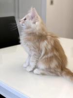 4C714F27-3391-4B01-9C0F-04DC5A1A3FEA