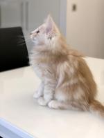 7C6A4A3B-E450-4071-A9AF-2868C9A1F9D4