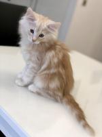 E984831E-7748-4866-AE47-6A2FCAEED362